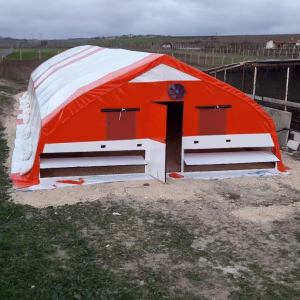 10x24 240m2 Büyükbaş Hayvan Besi Çadırı